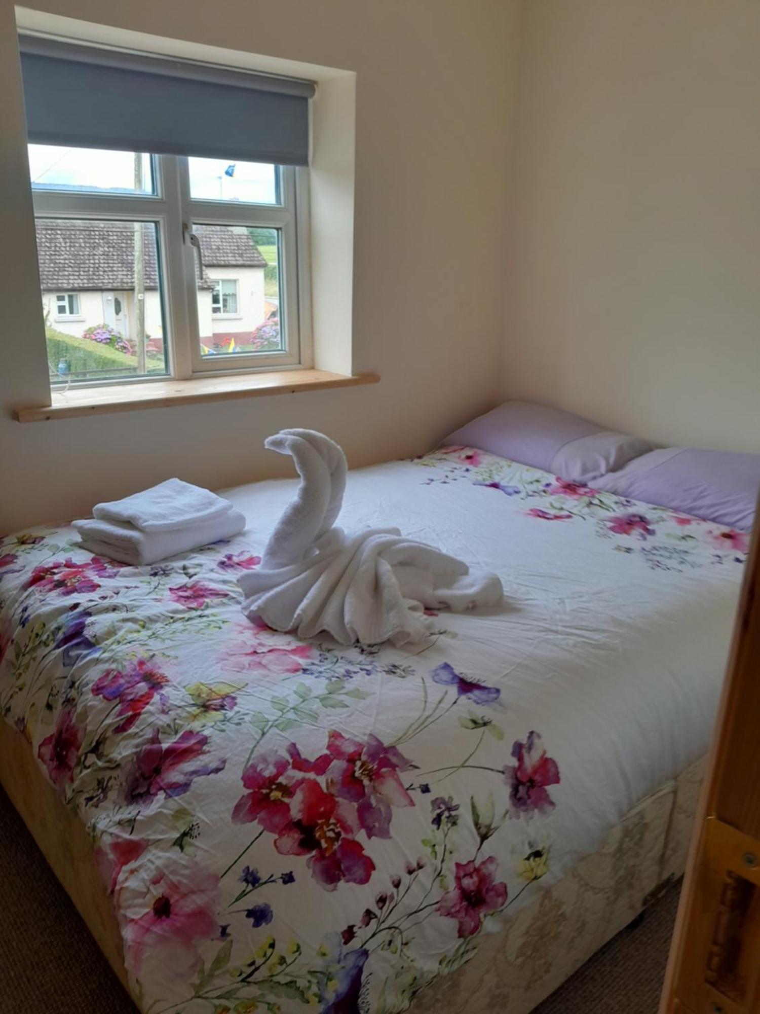 Mary'S House Apartment O'Briensbridge Bagian luar foto